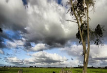 虎扑体育官网:记者:凯尔特人过去几年很支持布朗的斋月,球队厨师在这期间也为他准备特别.