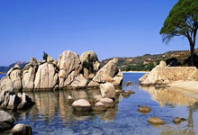 虎扑体育官网:没想到!这位足坛超巨与联赛冠军无缘,成为尴尬历史外籍出场王.